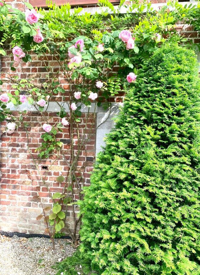 Studio - Tour D'Heloise - 10' De Bruxelles Ла-Юльп Экстерьер фото